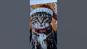 Christmas Celebration Cat Puzzle Advent Calendar Day 6