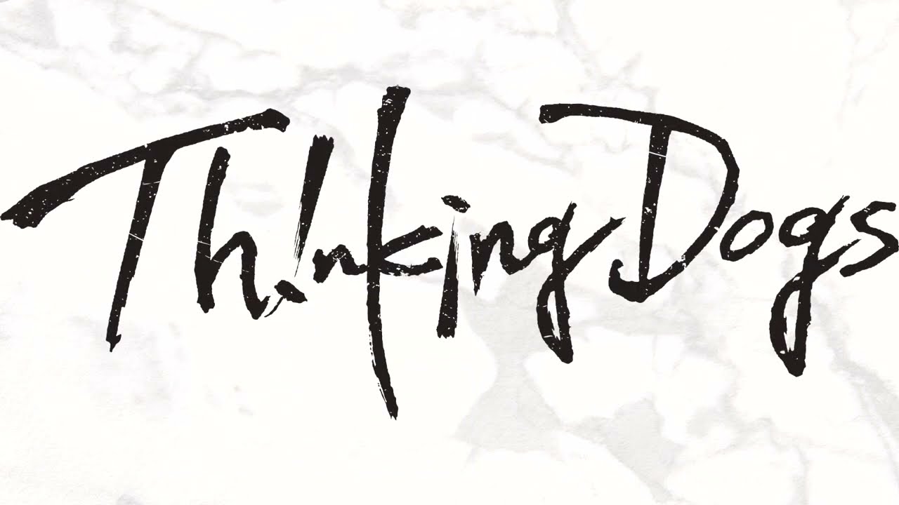Thinking Dogs『FAQ』Album Trailer