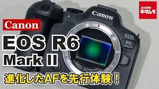キヤノン EOS R6 Mark IIを先行体験 EOS R6と比較しながら被写体検出やAF追従性能も試してきましたカメラのキタムラ動画_Canon