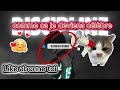 nouvelle intro