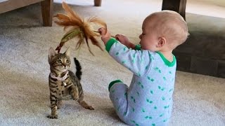 BABY AND KITTEN PLAYING!