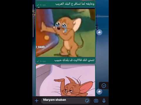 قوم ولعلك شمعه