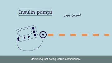 Urdu - Insulin Pumps 8/9