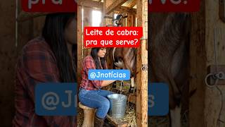 Leite de cabra: pra que serve?