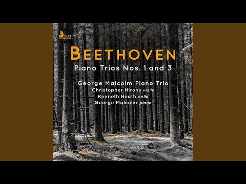 Piano Trio No. 3 in C Minor, Op. 1 No. 3: II. Andante cantabile con variazioni