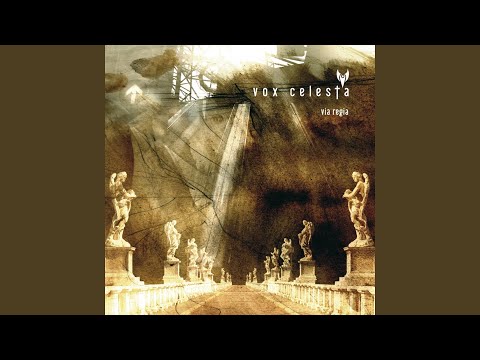 Vox Celesta — Steuermann