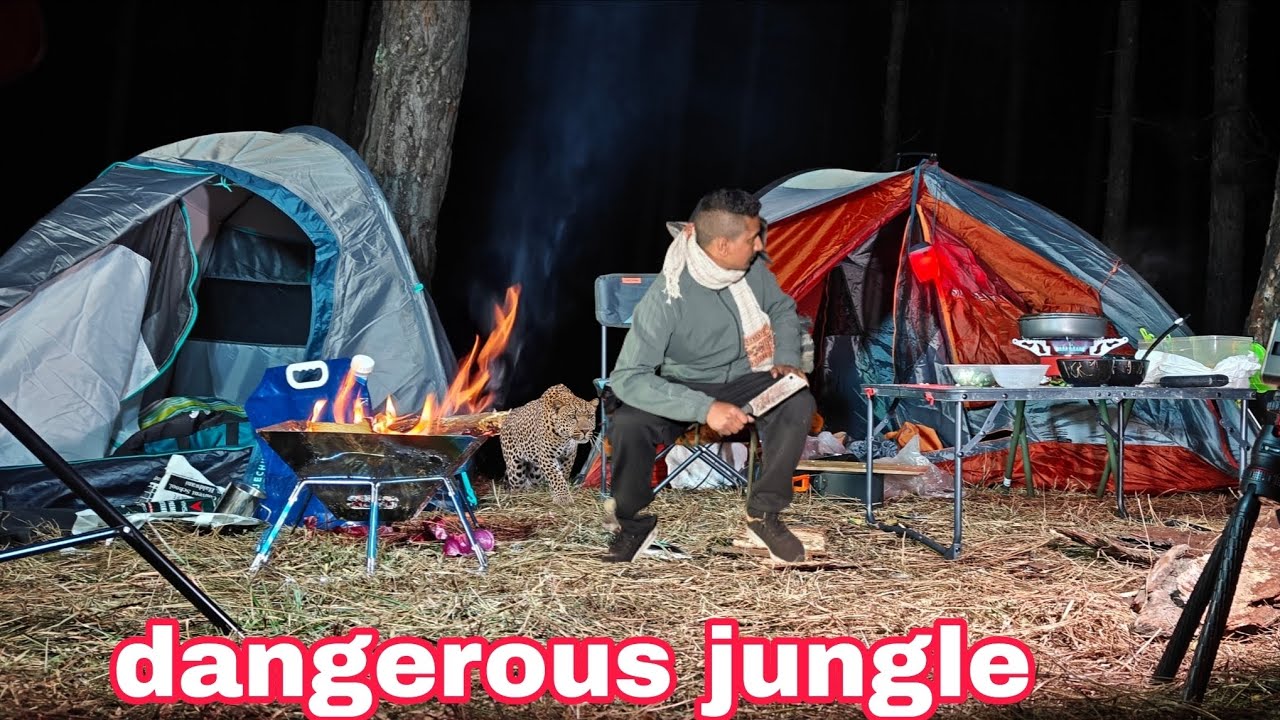 Not solo camping ! dangerous forest uttrakhand india 
