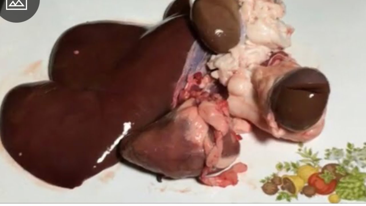 اطعم طريقة لعمل حلويات الجديان او الماعز/وقدمتها بطريقتين رووعة /goat liver & kidney so delicious