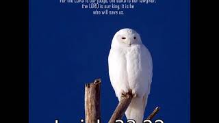 Isaiah 33:22