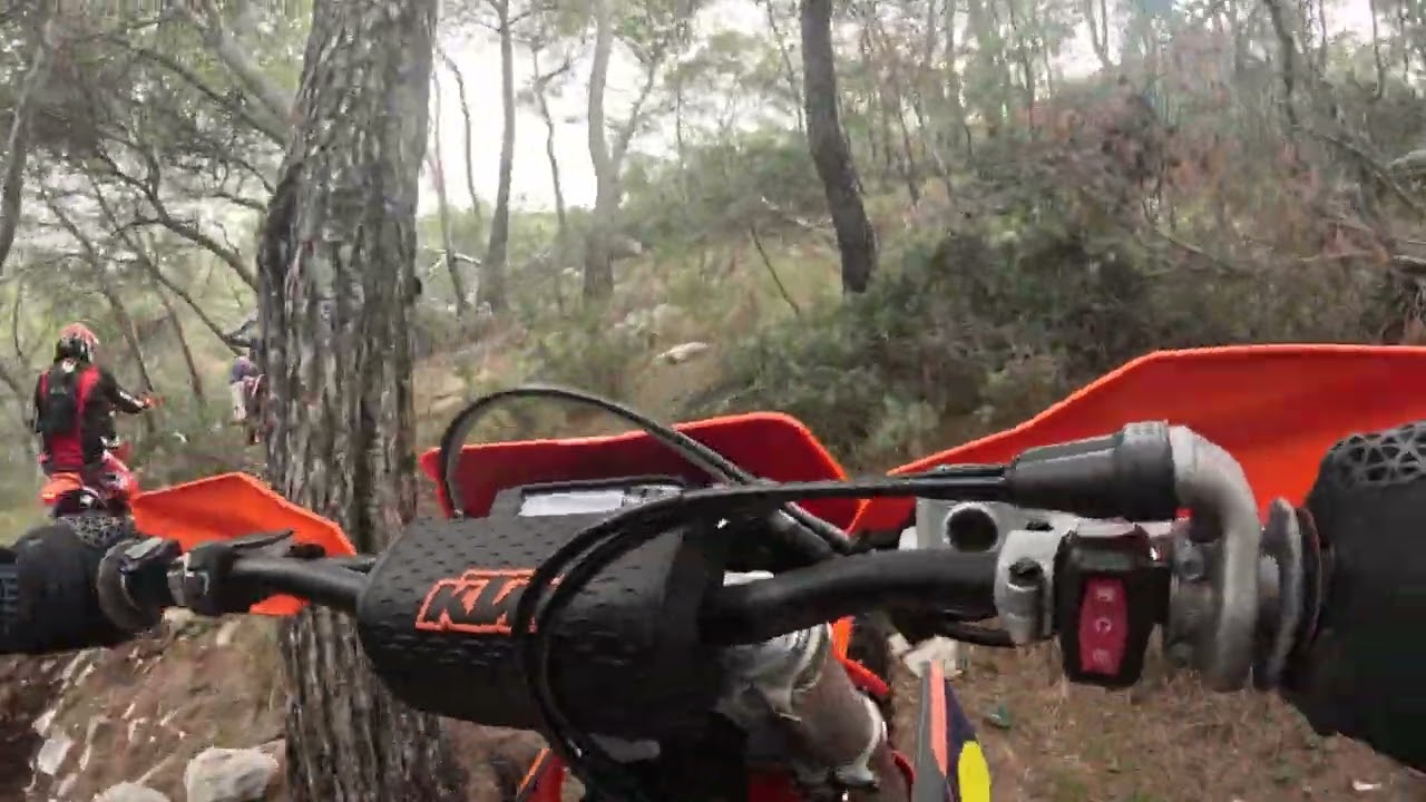 Enduro salamina