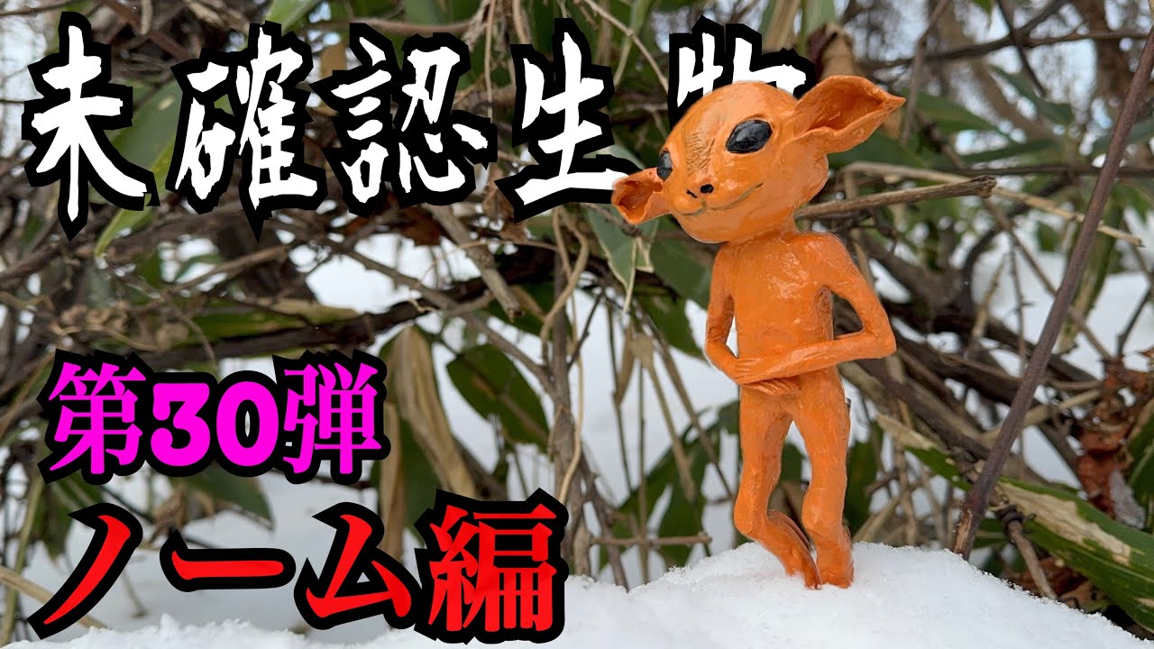 【未確認生物】ノーム見つけるまで帰れません！！！
