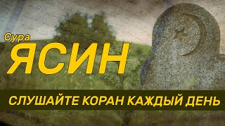 Ясин сура - очень красивое чтение корана. Обязательно слушайте каждый день!