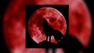 Selena Gomez, Marshmallow- Wolves (sped up)