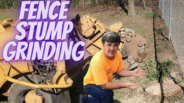 Fence Saving Stump Grinding Before & After
