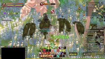 Tree of Savior Fedimian Support Guild Pantorex quest 12/08/2022
