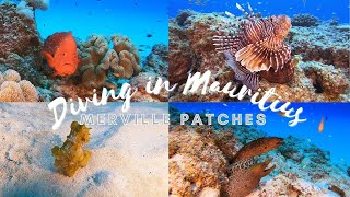 Diving in Mauritius - Merville Patches dive site
