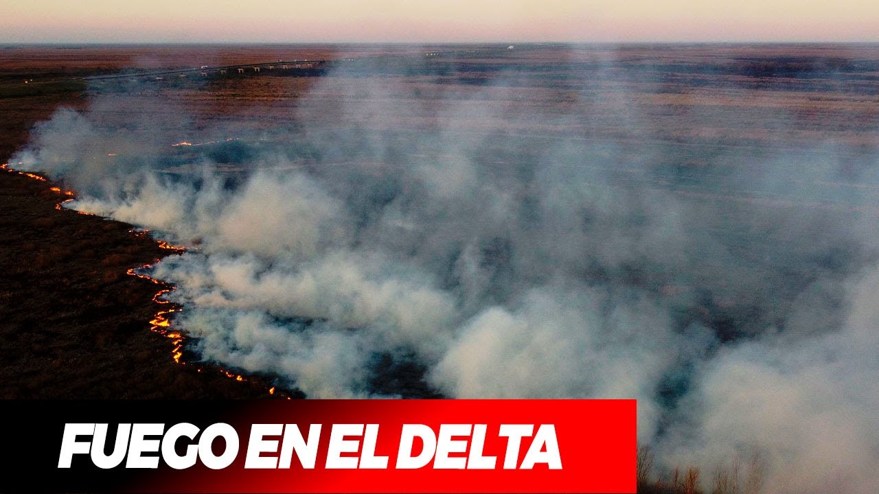 FUEGO EN EL DELTA: Humo y olor a quemado en la ciudad de Buenos Aires ...