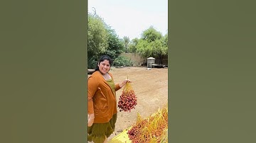 How to make dry dates..😍😍l #youtube #couple #shortvideo #shorts #youtubeshorts