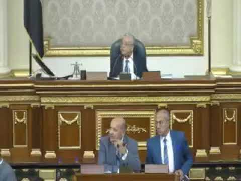 النائبة رحاب حفيدة الغول تتقمص روح والدها في الدفاع عن صحة أبناء قنا