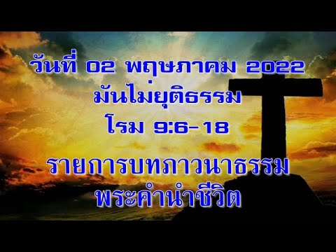 วีดีโอ: สุนัขคิดว่า“ไม่ยุติธรรม” ด้วย