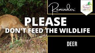 Don't Feed the Wildlife: Deer