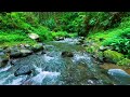 Relaxing River Sound emotional therapy to relieve stress and mental disorders for sleeping