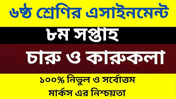 Class 6 Charu O Karu Kola Assignment 8th Week Amazing video