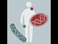 Microbiome analysis 2023  05 metagenome assembly and mags