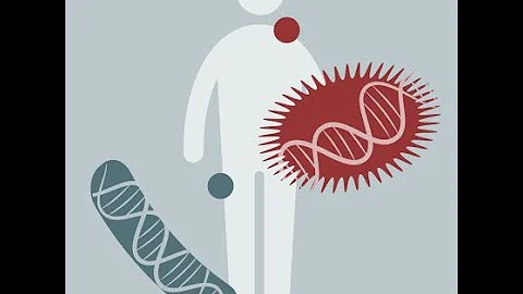 Microbiome Analysis 2023 | 05: Metagenome Assembly and MAGs