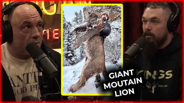 Joe Rogan & Derek Wolfe | Giant Mountain Lion story ! #1950