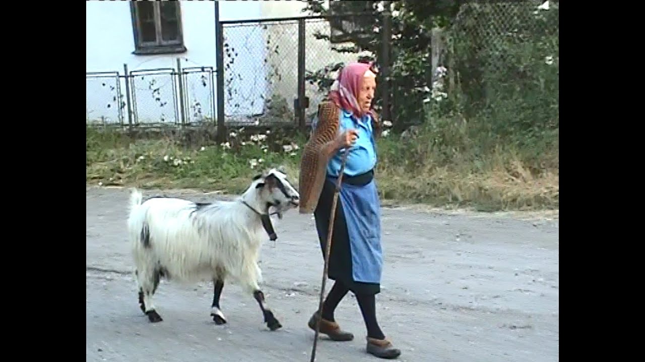 ГОЛЕШ 24.07.2006 (3)