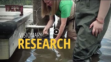 George Mason University | Amy Fowler | Visionary Research