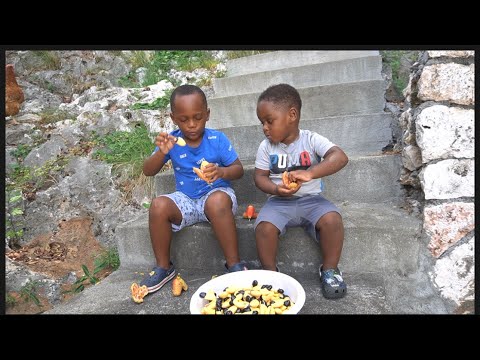 We’re having a tough time but we find time to play games and pick ackee