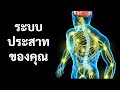 เรื่องราวเกี่ยวกับระบบประสาทของคุณ Mp3 Song