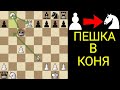 ПЕШКА ПРЕВРАТИЛАСЬ В КОНЯ И ПОСТАВИЛА МАТ. Шахматы ловушки
