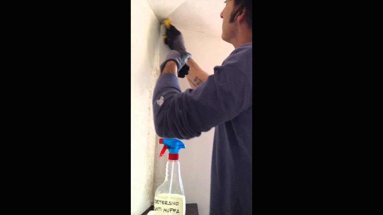 Prestorisoltocasa come pulire la muffa dai muri youtube Muffa come pulirla