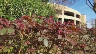 Team 8 Ethics Video