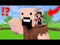 ماين كرافت تحكمت بنوتش لمدة 24 ساعة ولكن الحظ خطير 