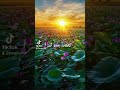 اناشيد حالات ليس الغريب يازارع الخير تحصد بعده ثمرا
