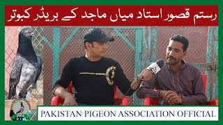 Rustamay Kasur Ustad Mian Majid Kay Breeder Pigeons Watch In Hd Urduhindi