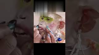 touch up makeup to monkey 😉