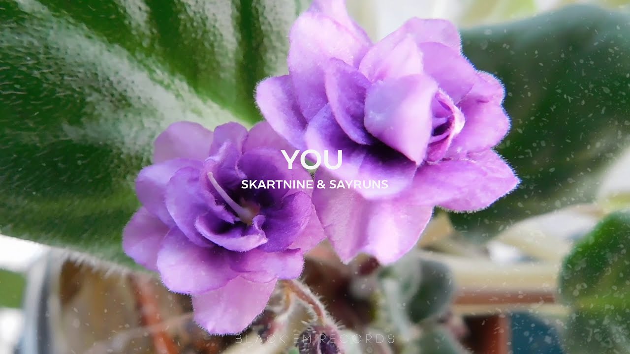 Watch Skartnine & Sayruns MV - You (Official Audio) on YouTube Watch Skartnine & Sayruns MV - You (Official Audio) on YouTube