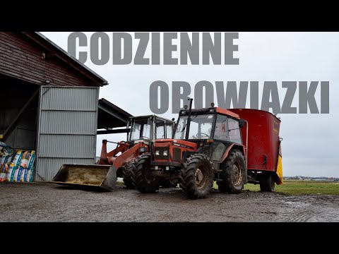 CODZIENNE OBOWIĄZKI NA GOSPODARSTWIE !