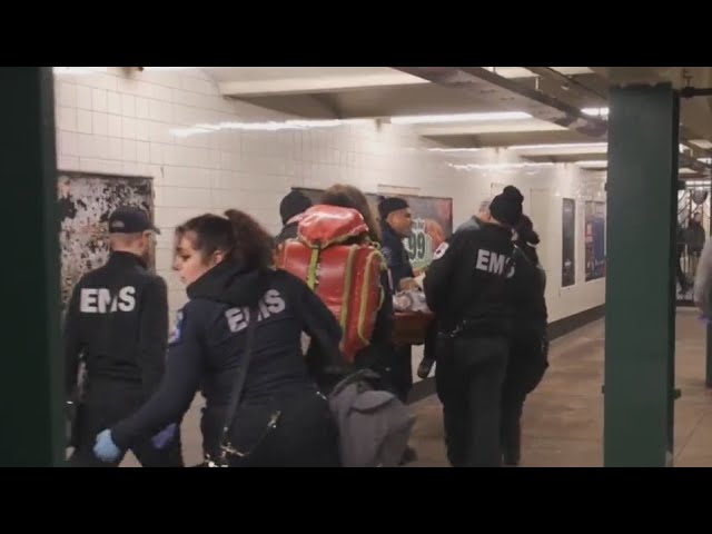 Man Shot To Death On Bronx Subway Nypd