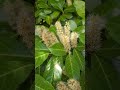 Весна 11 Апреля