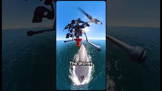 The Whale Guardians|| #Whales #MarineConservation #DroneTechnology #SaveTheWhales #OceanLife