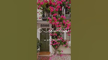 السورهٔ الفاتحه #سوره حمد _فاتحه #آیات قران#کلیپ مذهبی