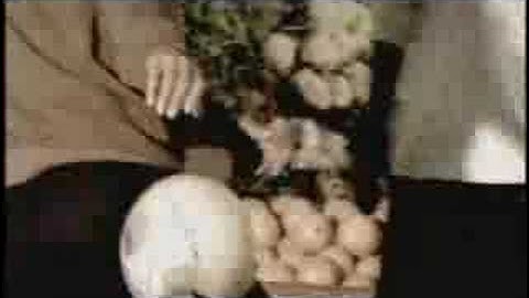 Que no Caiga Que No Toque El Suelo CDF