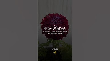 تلاوة خاشعة من سورة فاطر للقارئ محمد الفقيه 💛 - راحة وسكينة لا توصف 😴❤️