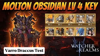 Varro Draccus in Molton Obsidian Lv 4 Key | Easy Strategy | Watcher of Realms. 